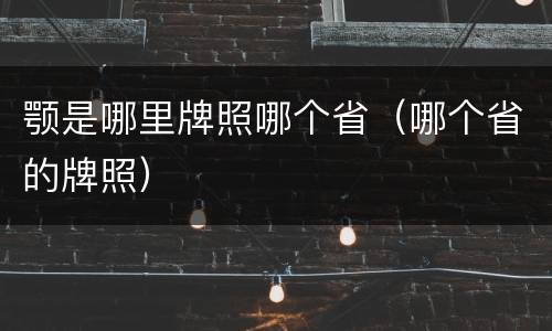 颚是哪里牌照哪个省（哪个省的牌照）