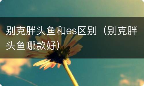 别克胖头鱼和es区别（别克胖头鱼哪款好）