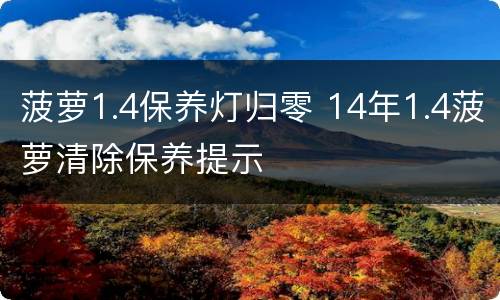 菠萝1.4保养灯归零 14年1.4菠萝清除保养提示