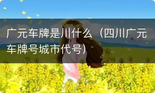 广元车牌是川什么（四川广元车牌号城市代号）
