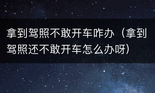 拿到驾照不敢开车咋办（拿到驾照还不敢开车怎么办呀）