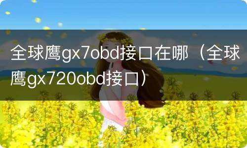 全球鹰gx7obd接口在哪（全球鹰gx720obd接口）
