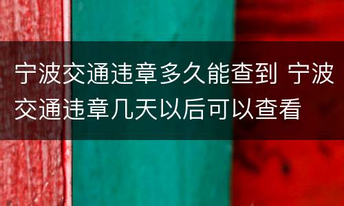 宁波交通违章多久能查到 宁波交通违章几天以后可以查看
