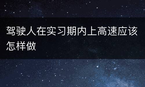 驾驶人在实习期内上高速应该怎样做