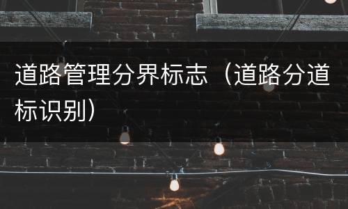 道路管理分界标志（道路分道标识别）