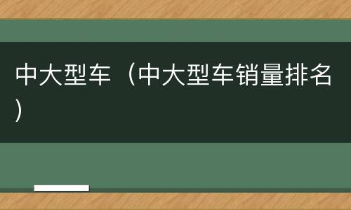 中大型车（中大型车销量排名）
