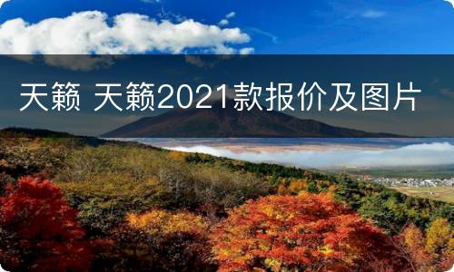 天籁 天籁2021款报价及图片