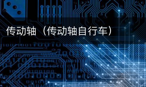传动轴（传动轴自行车）