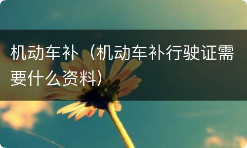 机动车补（机动车补行驶证需要什么资料）