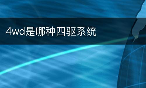 4wd是哪种四驱系统