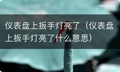 仪表盘上扳手灯亮了（仪表盘上扳手灯亮了什么意思）