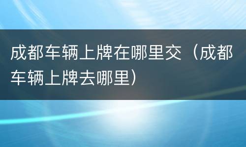 成都车辆上牌在哪里交（成都车辆上牌去哪里）