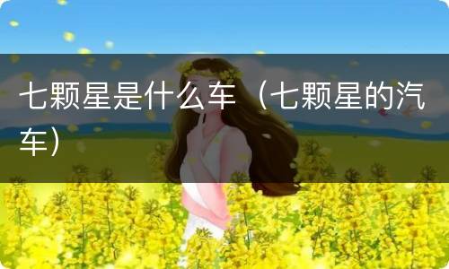 七颗星是什么车（七颗星的汽车）