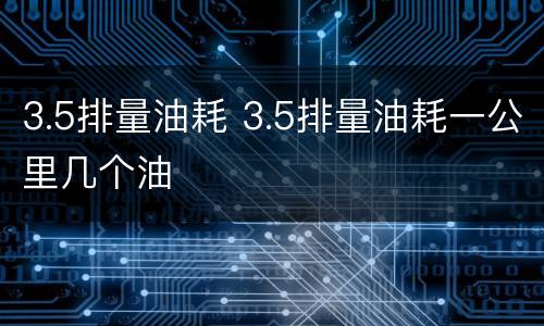 3.5排量油耗 3.5排量油耗一公里几个油