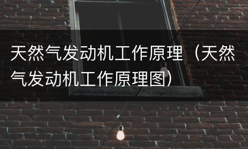 天然气发动机工作原理（天然气发动机工作原理图）