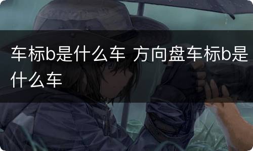 车标b是什么车 方向盘车标b是什么车