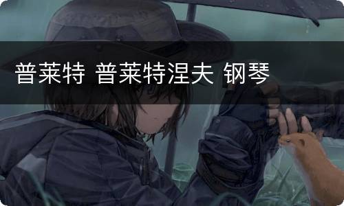 普莱特 普莱特涅夫 钢琴