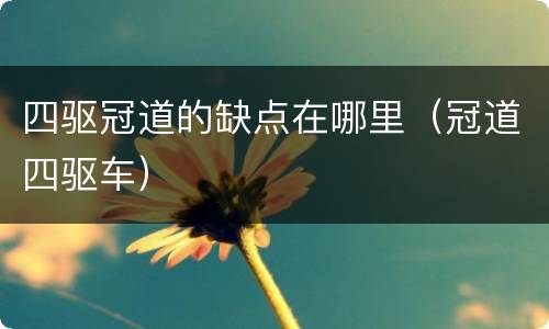 四驱冠道的缺点在哪里（冠道四驱车）