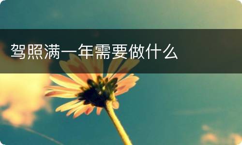 驾照满一年需要做什么