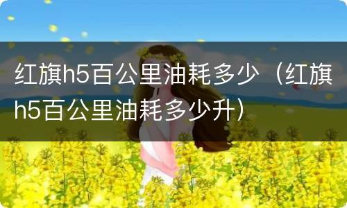 红旗h5百公里油耗多少（红旗h5百公里油耗多少升）