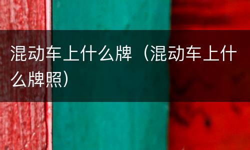 混动车上什么牌（混动车上什么牌照）