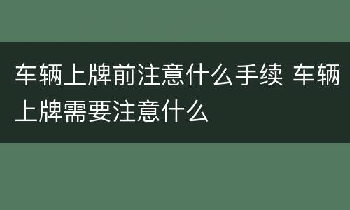 车辆上牌前注意什么手续 车辆上牌需要注意什么