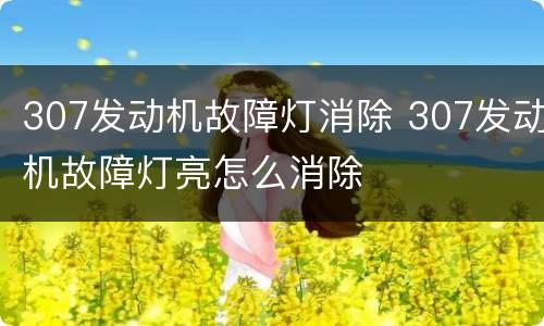 307发动机故障灯消除 307发动机故障灯亮怎么消除