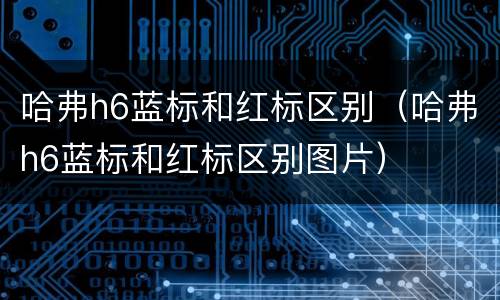哈弗h6蓝标和红标区别（哈弗h6蓝标和红标区别图片）