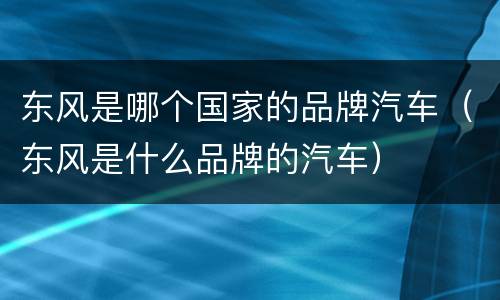 东风是哪个国家的品牌汽车（东风是什么品牌的汽车）