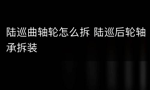 陆巡曲轴轮怎么拆 陆巡后轮轴承拆装