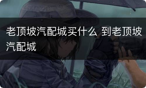 老顶坡汽配城买什么 到老顶坡汽配城