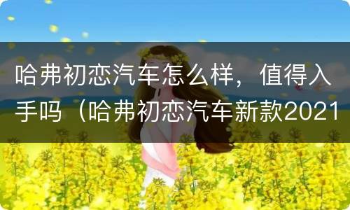 哈弗初恋汽车怎么样，值得入手吗（哈弗初恋汽车新款2021款怎么样）