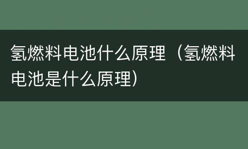 氢燃料电池什么原理（氢燃料电池是什么原理）