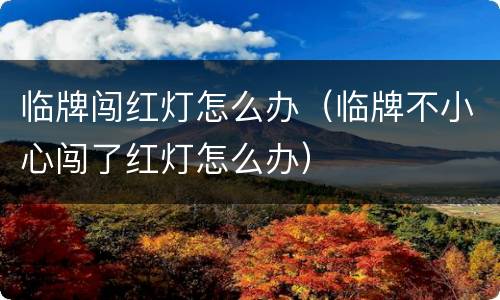 临牌闯红灯怎么办（临牌不小心闯了红灯怎么办）