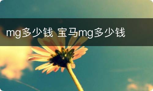 mg多少钱 宝马mg多少钱