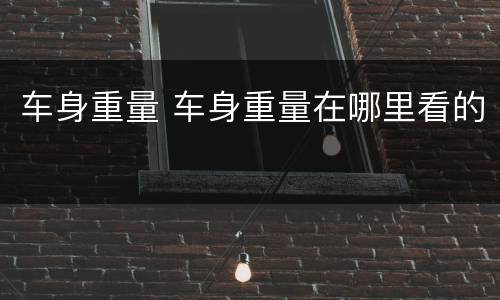 车身重量 车身重量在哪里看的