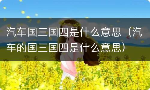 汽车国三国四是什么意思（汽车的国三国四是什么意思）