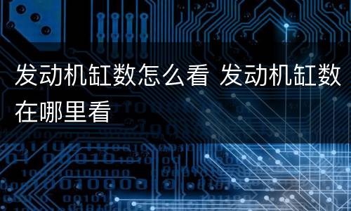 发动机缸数怎么看 发动机缸数在哪里看