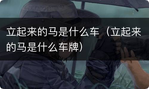 立起来的马是什么车（立起来的马是什么车牌）