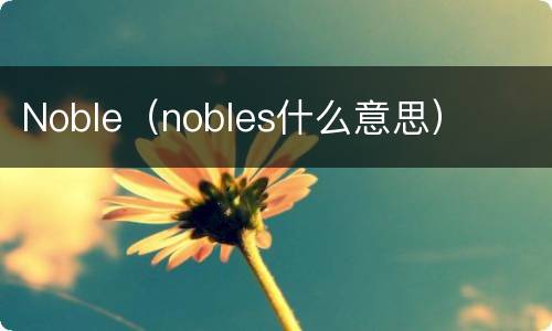 Noble（nobles什么意思）