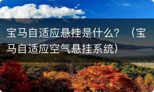宝马自适应悬挂是什么？（宝马自适应空气悬挂系统）