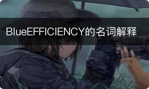 BlueEFFICIENCY的名词解释