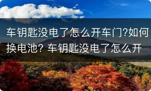 车钥匙没电了怎么开车门?如何换电池? 车钥匙没电了怎么开车门?如何换电池视频