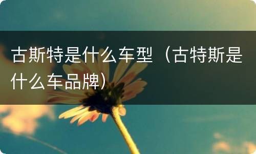 古斯特是什么车型（古特斯是什么车品牌）