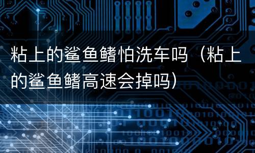 粘上的鲨鱼鳍怕洗车吗（粘上的鲨鱼鳍高速会掉吗）
