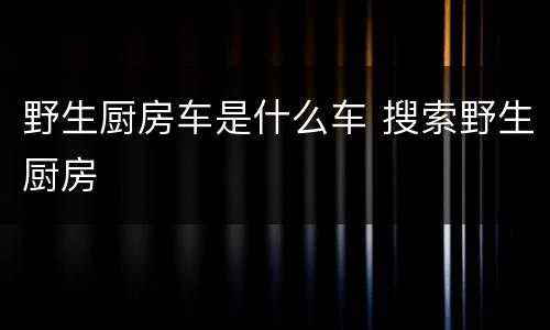 野生厨房车是什么车 搜索野生厨房