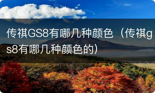 传祺GS8有哪几种颜色（传祺gs8有哪几种颜色的）