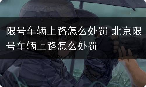限号车辆上路怎么处罚 北京限号车辆上路怎么处罚