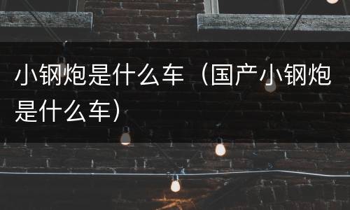 小钢炮是什么车（国产小钢炮是什么车）