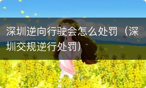 深圳逆向行驶会怎么处罚（深圳交规逆行处罚）